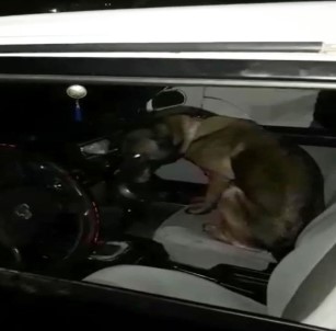 'Kayra'dan Uyuşturucu Tacirlerine Darbe