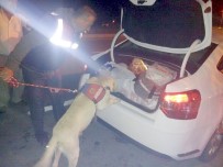 Uşak Jandarmasından Kaplan-1 Uygulaması