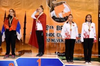 Yalovalı Taekwondocular 3'Te 3 Yaptı