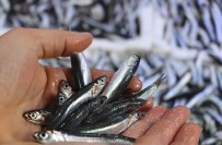 5 Liradan Satılan Hamsiye Rağbet Arttı