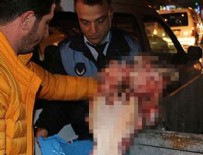 Çöp konteynerinden at başı çıktı