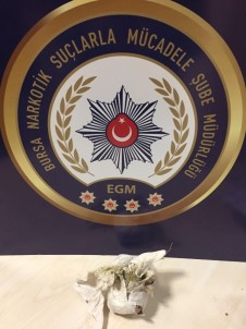 Doğu İllerinden Uyuşturucu Getiren Şüpheli Bursa'da Yakalandı