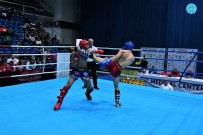 BUDAPEŞTE - Haliliyeli Oğuz Yıldırım, Kick Boksta Dünya Üçüncüsü Oldu