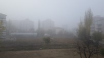 Isparta'da Yoğun Sis Etkili Oldu