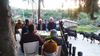 Torbalı'daki Zeytin Ve Zeytin Yağı Hasat Festivali İçin Geri Sayım