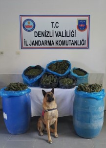 Denizli'de Uyuşturucu Operasyonu Açıklaması 2 Gözaltı