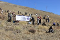 KREDI VE YURTLAR KURUMU - Erzincan'da Her KYK'lı Bir Fidan Dikti