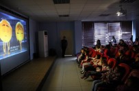 DÜNYA ÇOCUK GÜNÜ - Liceli Çocuklar İçin Sinema Günleri Başlatıldı