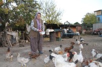 KADıNıN FENDI - Polis Dolandırıcıları İnşaat İşçisi Kılığında Yakaladı