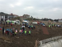 BEYLIKDÜZÜ BELEDIYESI - İstanbul'a Dev Meyve Ormanı