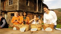 LE CORDON BLEU - Şile'de 'Tohum Ve Yerel Ürünler Şenliği' Başlıyor