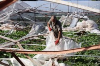 BEYMELEK - Antalyalı Çiftçiler Yaralarını Sarıyor