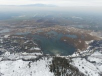 ENDEMIK - Bakan Özlü Açıkladı, 'Efteni Gölü Projesi Tamam'