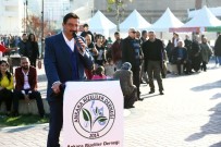 UĞUR BULUT - Keçiören'de Hamsi Festivali