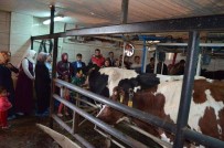 SÜT ÜRETİMİ - Kursiyerlere Teknik Gezi