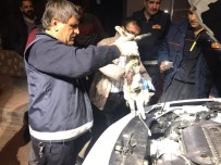 MAHMUT YıLDıRıM - Motor Kısmına Sıkışan Kedi Uyutularak Kurtarıldı