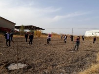 'Tarlada İzimiz Olsun' Projesi