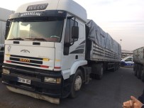 Zeytin Hırsızı Polisten Kaçamadı