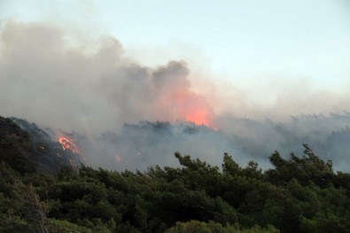 Datça'daki Orman Yangını Söndürüldü