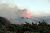 VEHBI BAKıR - Datça'daki Orman Yangını Söndürüldü