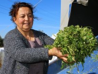 KADIN GİRİŞİMCİ - Kadın Girişimci Talebe Yetişemiyor