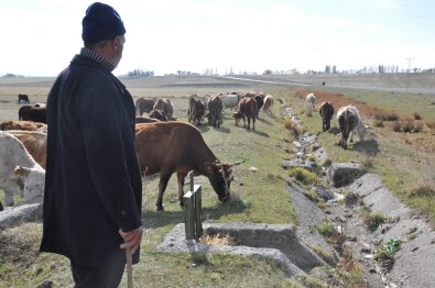 Kars Ziraat Odası Başkanı Ertaş, 'Süt Ürünlerine Zam Geldi, Süte Zam Gelmedi'