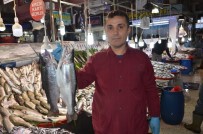 Malatya'da Balık Fiyatları Cep Yakıyor