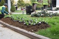 Mevsimlik Çiçek Dikimi Başladı