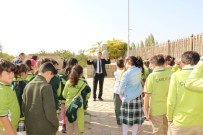 Öğrenciler Arslantepe Höyüğünü Gezdi