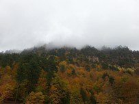 Simav'da Sonbahar Güzelliği