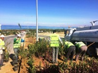 TOKİ'deki Refüjler Ağaçlandırılıyor