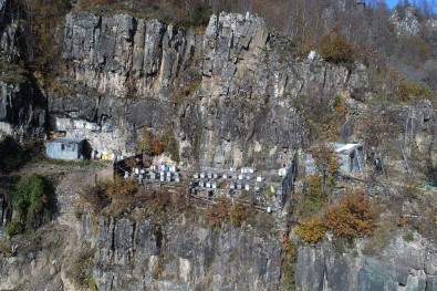 Arı Kovanlarını Ayılardan Korumak İçin Kayalıklara Taşıdı