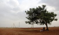 ÇADIR KENT - Babası Esad Bombasıyla Ölen 5 Aylık Emira Ağaç Altında Yaşıyor