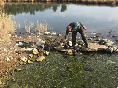 Kuşadası Dilek Yarımadası Milli Parkı'nda Çevre Temizliği Yapıldı