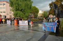 TÜRK KÜLTÜRÜ - Söke'de Çocuk Hakları Günü Kutlandı