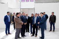 AHMET GAZI KAYA - Vali Kalkancı Tarımsal Alandaki Ekonomik Yatırımları İnceledi