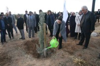 Aksaray'da 'Gönül Elçileri' Projesi Kapsamında Fidan Dikimi Yapıldı