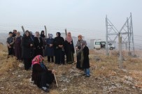 KANSERLE MÜCADELE - Baz İstasyonu Tepkisi