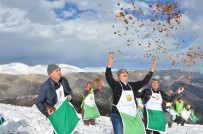 MAHMUT YıLMAZ - Mersin'de Yılın İlk Sedir Tohumları Toprakla Buluştu