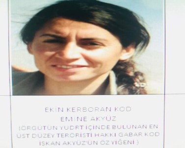 PKK'nın sözde özel güç sorumlusu öldürüldü