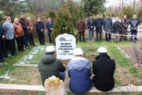 MÜFTÜ YARDIMCISI - Apaydın Kabri Başında Anıldı