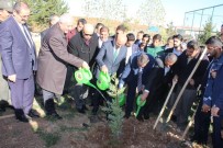 NACI KALKANCı - Bakan Yardımcısı Tüfekçi Okul Bahçesine Fidan Dikti