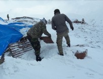 KATO DAĞı - Kato Dağı'nda hem terörle, hem de karla mücadele