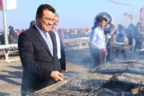 HAMSİ ŞÖLENİ - Taşçı'dan Şölene Davet