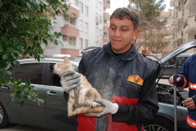 Aracın Motoruna Giren Yavru Kedi 2 Saatte Kurtarıldı