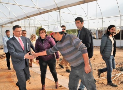 Başkan Balcı, Fidan Ve Mevsimlik Çiçek Projesi Çalışmalarını Denetledi