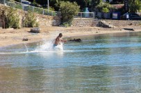 GÜNEŞLİ HAVA - Doğu'da Kar Çilesi, Bodrum'da Deniz Keyfi