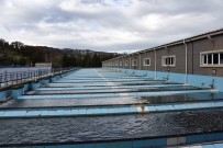 YUSUF ZIYA YıLMAZ - İçme Suyu Elektrik Üretecek