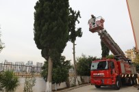 AKKENT - Yastık Kılıfını İndirme Operasyonu