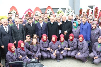 Bakan Eroğlu Defne Yaprağı Fabrikasının Açılışını Yaptı